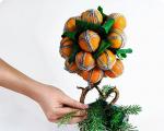 Красивые деревья для интерьера: как сделать топиарий своими руками Топиарий из мандаринов